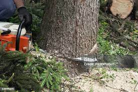 Soil Testing and Treatment in Dousman, WI