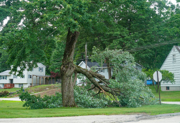 Best Seasonal Cleanup (Spring/Fall)  in Dousman, WI
