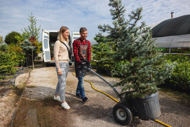 Best Grass Overseeding  in Dousman, WI